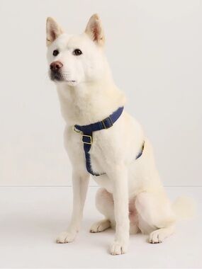 Quince 100% Cotton Wrapped Nylon Dog Harness Navy Blue - Large